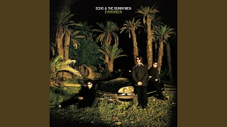 I&#39;ll Fly Tonight