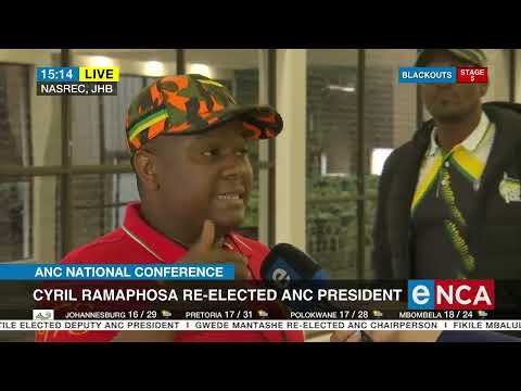 Paul Mashatile elected ANC deputy president