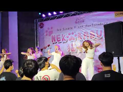 Hatobito @ Neko Kabuki - Donki Mall Thonglor【4K 60FPS】