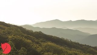 Abisko Shape - Fjällräven Tents