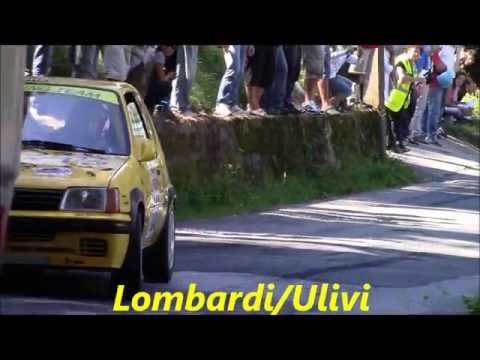 Rally C.tà di Camaiore 2013 P.S.1 FA-5 (15/20)