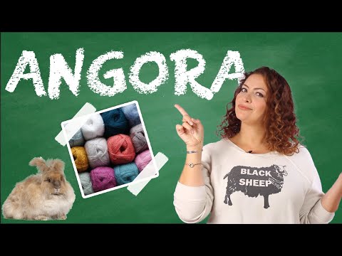 What is Angora? 🐰 - Yarn University #5