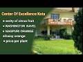 Center Of Excellence For Citrus, Nanta kota || नीबू उत्कृष्ठता केंद्र नान्ता फ़ार्म कोटा | #farming 