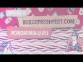 Bosco Fresh Fest 2015 видеодневник #1 