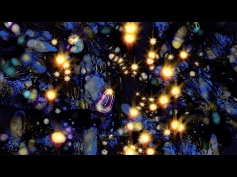 Video thumbnail for Midnight Special