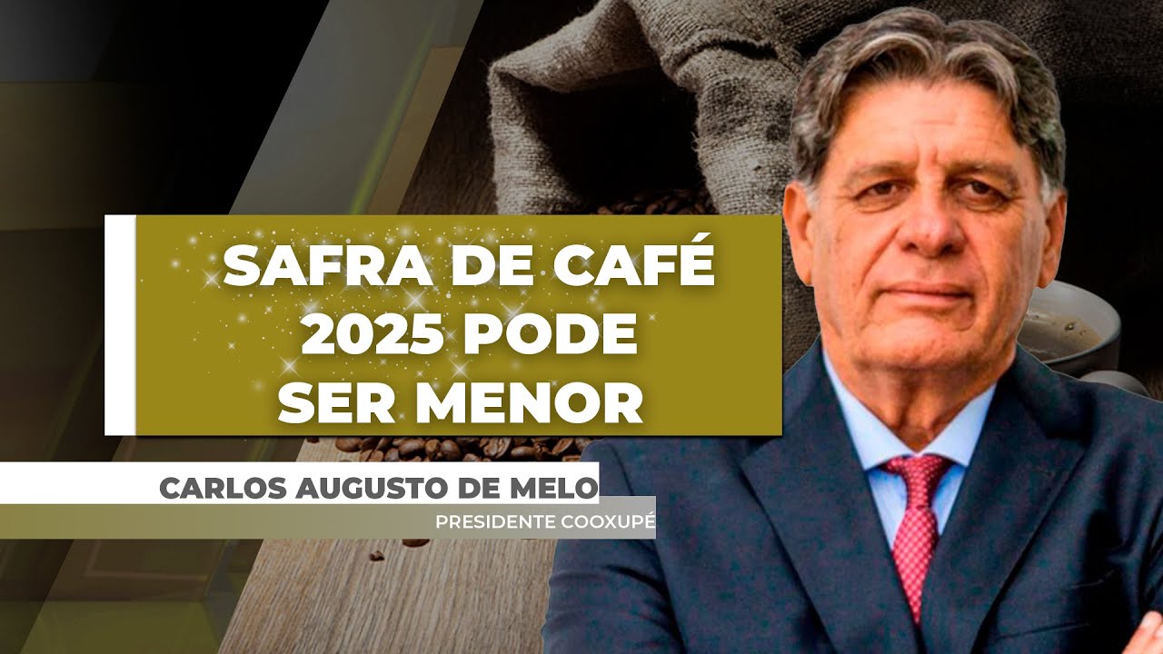 Após fechar 2024 com a produção de café abaixo do esperado, Cooxupé já estima um decréscimo...