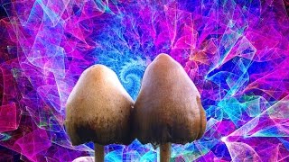What magic mushrooms do to your brain and body