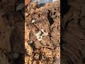 Thumbnail image 7
