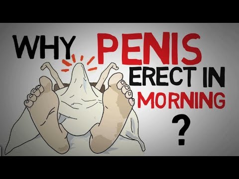 Cum să pui sau penis