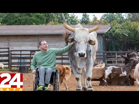 Paraplegičar Emilio (31) brine o boškarinu koji je prebolio rak: Boško je prava maza i nježni div