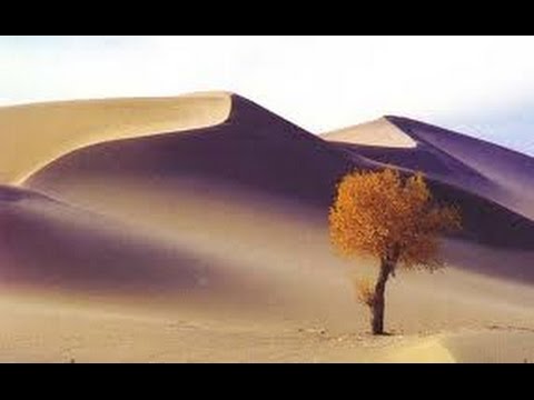 ギイ・ラリベルテ - 定義