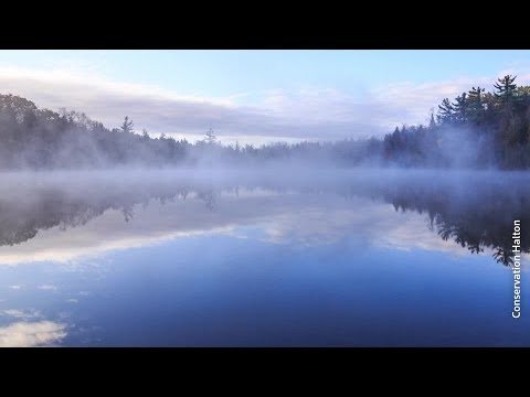 人新世の基準点