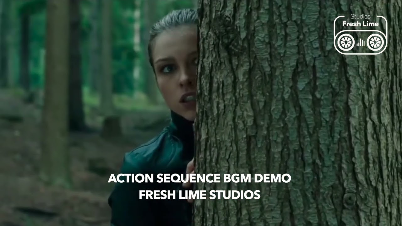 Action Sequence BGM | FLS