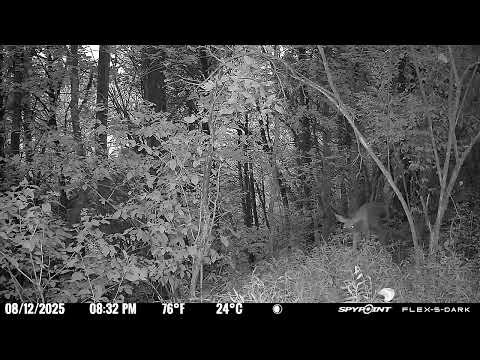 User submitted video