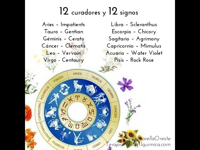 Vídeo relacionado con El poder de tu imaginación: Imagina, sana y conócete, a través de los 12 arquetipos del tarot, las flores de Bach y los signos zodiacales.