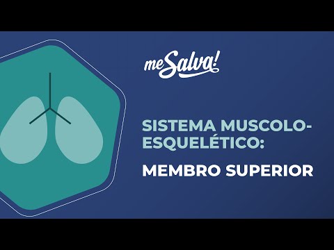 Sistema musculoesquelético – Membro Superior - Anatomia Humana Básica - Me Salva! Saúde