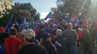 STOP THE STEAL! PATRIOTS MARCH WDC 11/15/20