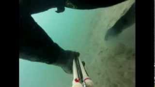 preview picture of video 'gros loups 6kg à port saint louis du rhone , thermo-clean,  méditerranée camargue'