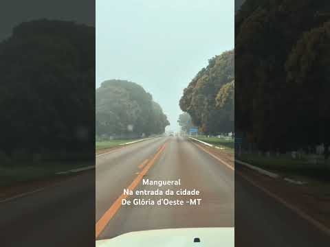 O Mangueiral da entrada do município de Glória d'Oeste (MT) é um ponto de referência muito lindo