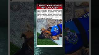 Troppo amichevole