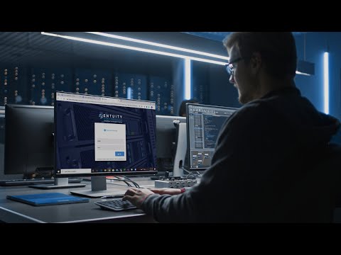 Video Image