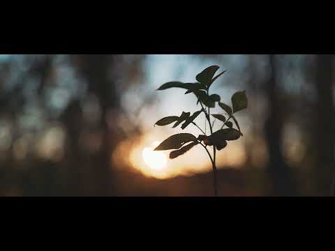 Jesień w Leśnictwie Dziewierzewo