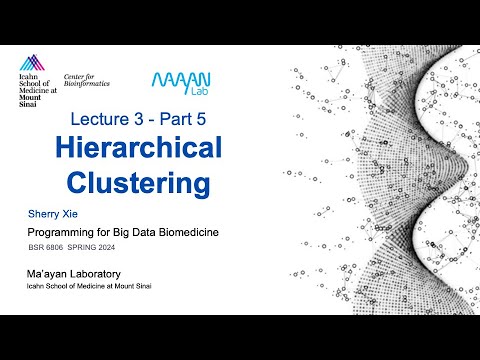 BSR6806 - Lecture 3 - Part 5 - Hierarchical Clustering - Sherry Xie - ISMMS -Spring 2024