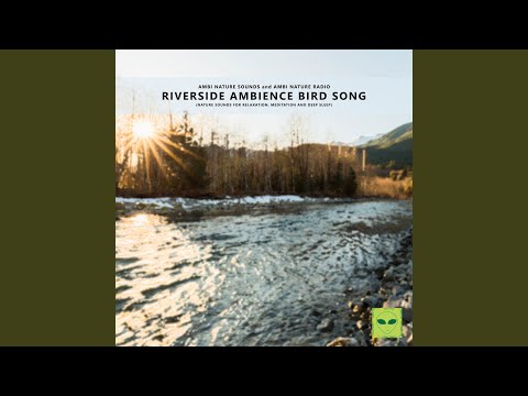 Riverside Ambience and Birds Singing Asmr Sounds