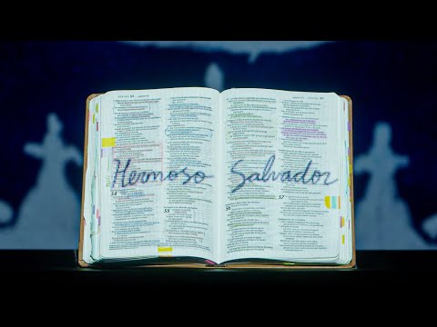 Hermoso Salvador - caminodevida música (Lyric Video)