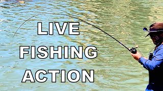 🎣 KastKing Megatron 200 Reel vs Texas Monster Carp. Who will win!😱