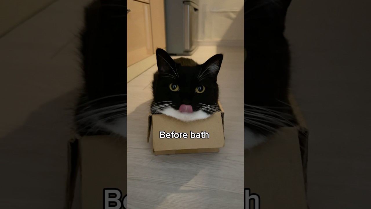 Uni takes a bath once a year… and it usually goes like this