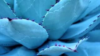 01 Mika Vainio - Kelvin [Touch]