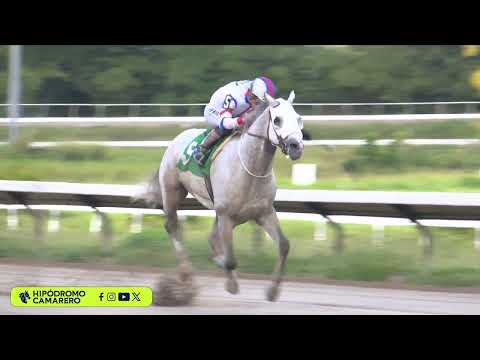 RACE 3 - 6/JANUARY/2026 (COMMITTING)