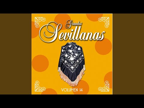 El sol de la mañana