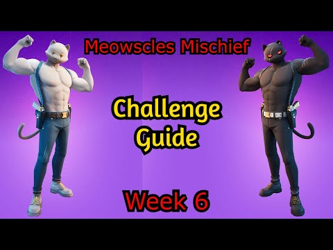 Fortnite Meowscles Mischief Week 6 Challenge Guide