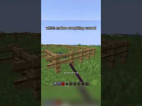 What is the RAREST Item in Minecraft???