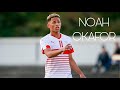 Noah Okafor • Goals and Skills