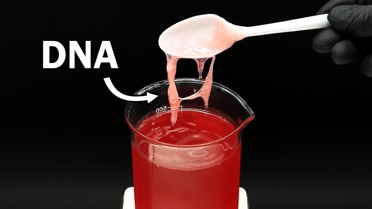 Pulling the slimy DNA out of strawberries