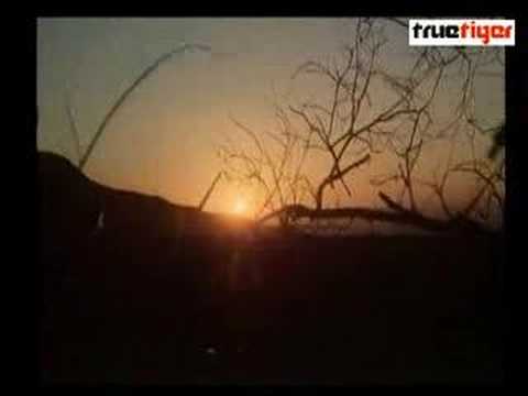 Sukh Knight - Born Invincible (Music Video) True Tiger