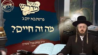 הרב מנחם מנדל פומרנץ | רגע של מדרש -אידיש- יום ג' פרשת בא • מה זה חיים? •