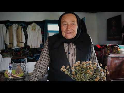 Pe coclaurile din satul Vaidacuta - un sat de aproximativ 15-20 de locuitori ("cu prunci cu tot...")