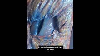 Did you know in EVIL DEAD II... #shorts