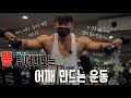 어깨 뽕 만드는 운동법‼️/중, 상급자용/레터럴레이즈 응용/ IFBBPRO /이준호