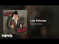 El Tigrillo Palma - Los Pelones (Audio)
