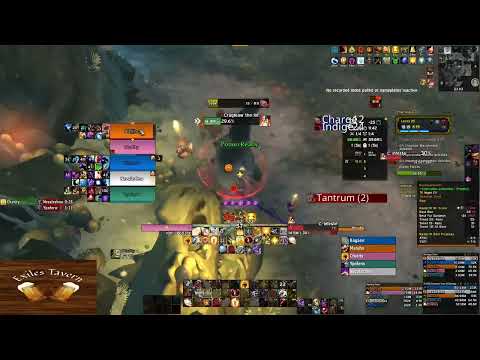 Holy Paladin POV +25 Underrot Rip 2 chest Tyran