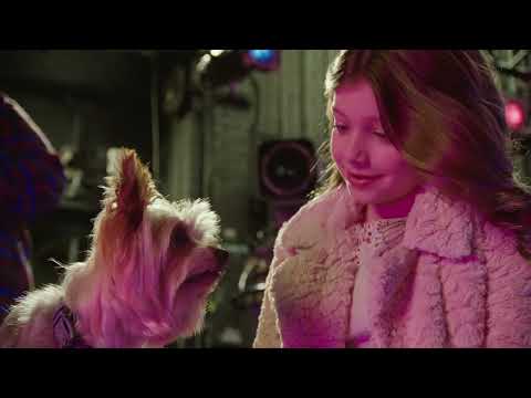 PUP STAR - French Film Complet