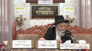 הרב אברהם מוסלי | הלכות סת"ם | מוסאיוף (בית הכנסת מוסאיוף - ערוץ חדש) - התמונה מוצגת ישירות מתוך אתר האינטרנט יוטיוב. זכויות היוצרים בתמונה שייכות ליוצרה. קישור קרדיט למקור התוכן נמצא בתוך דף הסרטון