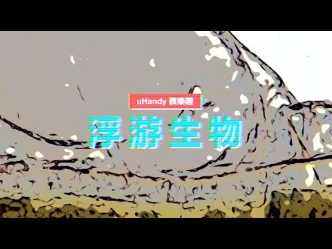 浮游生物