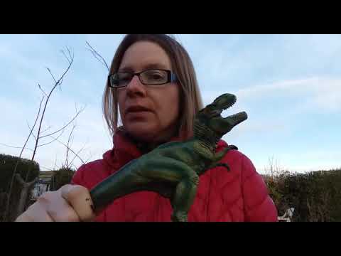 Gender of nouns in Czech language