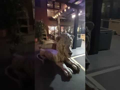 TheMadTurk/Turkish Delicious/Fabulous space